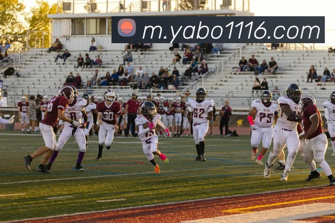 亚博体育APP 封面图